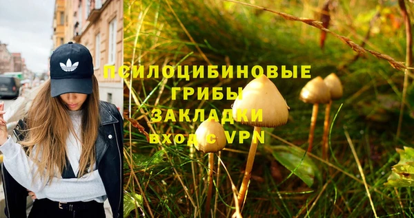 спайс Струнино