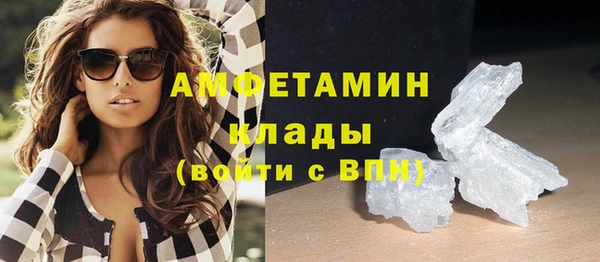 сатива Тайга