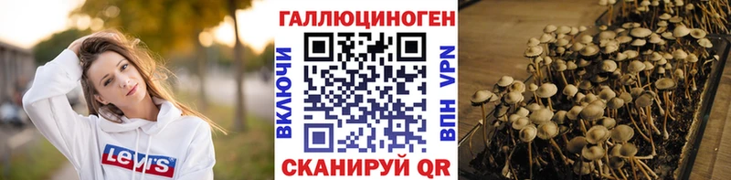 где продают наркотики  Тутаев  Галлюциногенные грибы MAGIC MUSHROOMS 