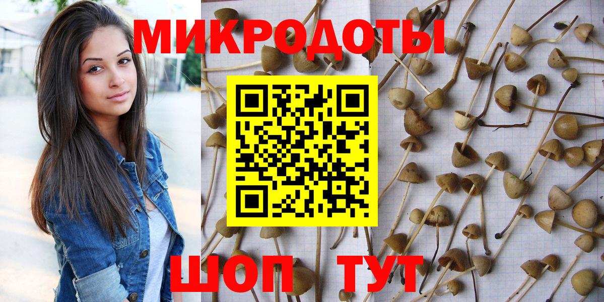 Галлюциногенные грибы мухоморы  Галлюциногенные грибы ЛСД  Тутаев  Вход с VPN 